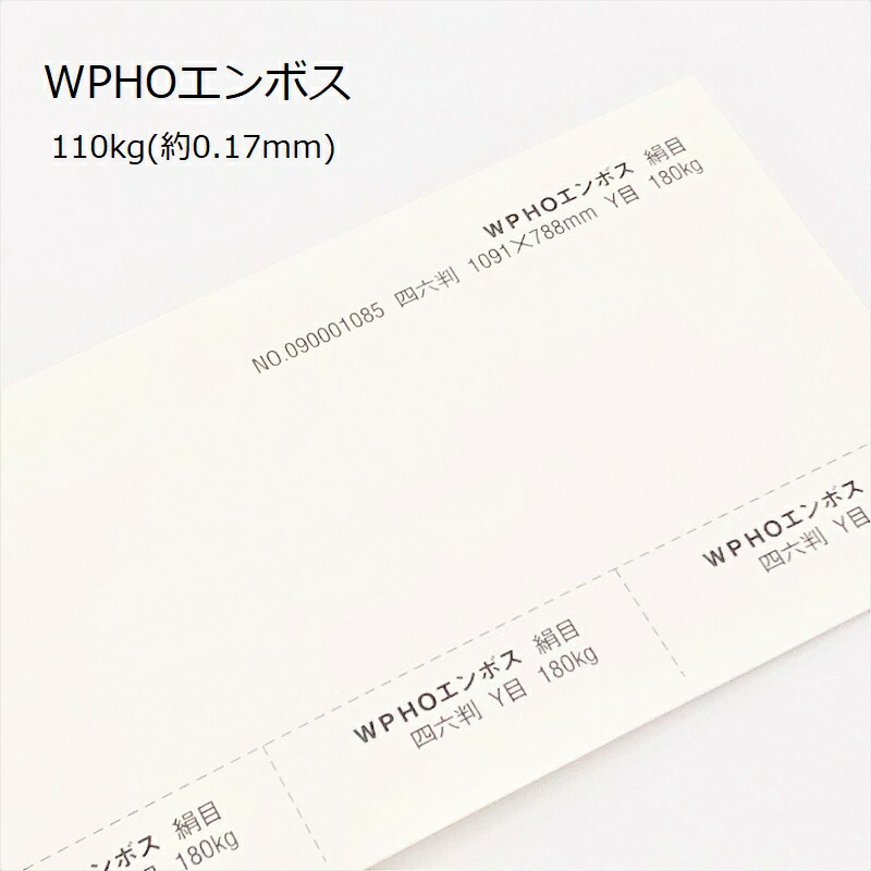 ＷＰＨＯエンボス 110kg(0.17mm) 商品画像