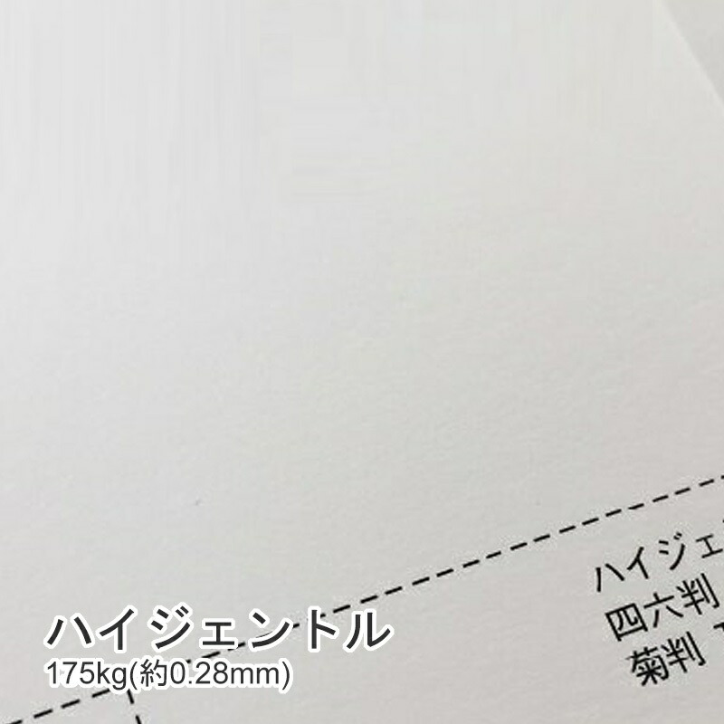 ハイジェントル 175kg(0.28mm) 商品画像