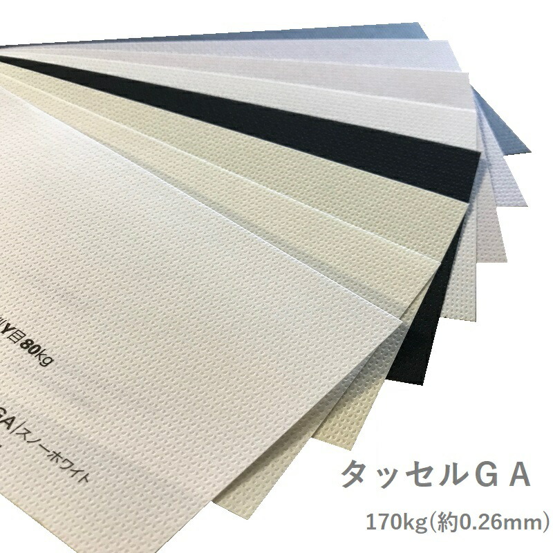 タッセルＧＡ 170kg(0.26mm) 商品画像