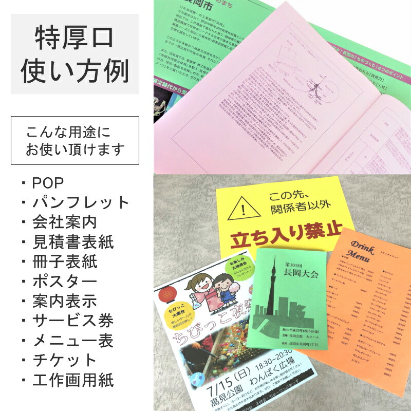 色上質紙 大王の色上質 特厚口 A4 500枚 商品画像サムネイル10