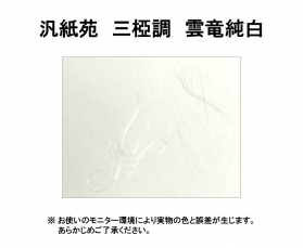 汎紙苑 三椏調 雲竜純白 51.6kg ( 0.10mm ) 和紙のカラーバリエーションなど