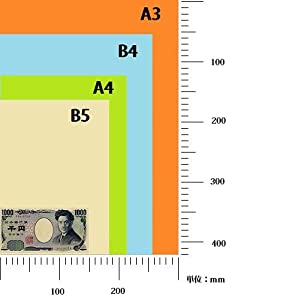 大王の色上質のサイズ展開